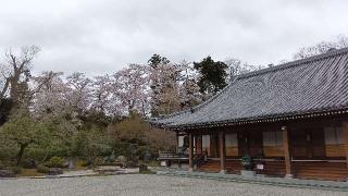 長泉寺の参拝記録(ひろ神社仏閣さん)