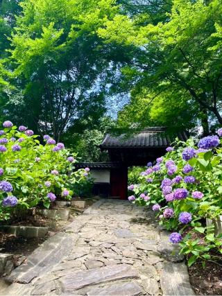 本光寺の参拝記録(zoroさん)