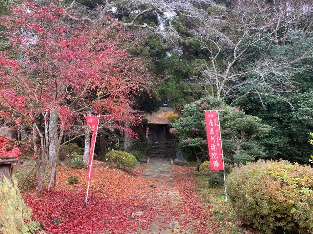 高藏寺の参拝記録4