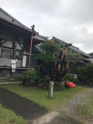 宗徳寺の参拝記録(チャロさん)