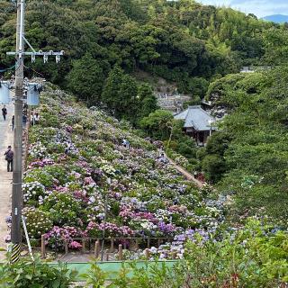 補陀寺の参拝記録(ワヲンさん)
