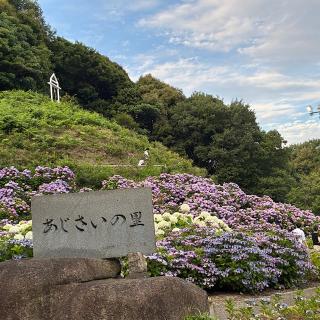補陀寺の参拝記録(ワヲンさん)