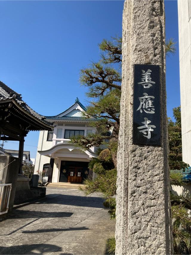 巌松山 善応寺の参拝記録4