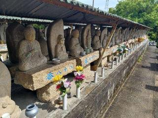 高雲寺の参拝記録(銀玉鉄砲さん)