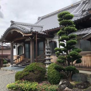 深興寺の参拝記録(ワヲンさん)