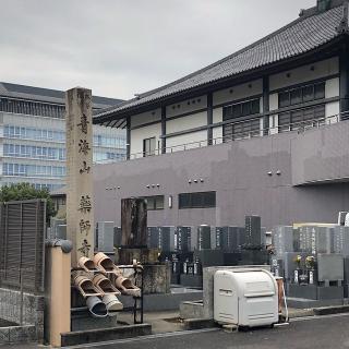 薬師寺の参拝記録(ワヲンさん)