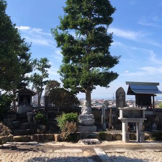 養善寺の参拝記録(ワヲンさん)