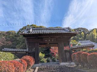 青龍山 瑞泉寺の参拝記録(恭子さん)