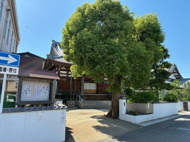 宝勝寺の写真1