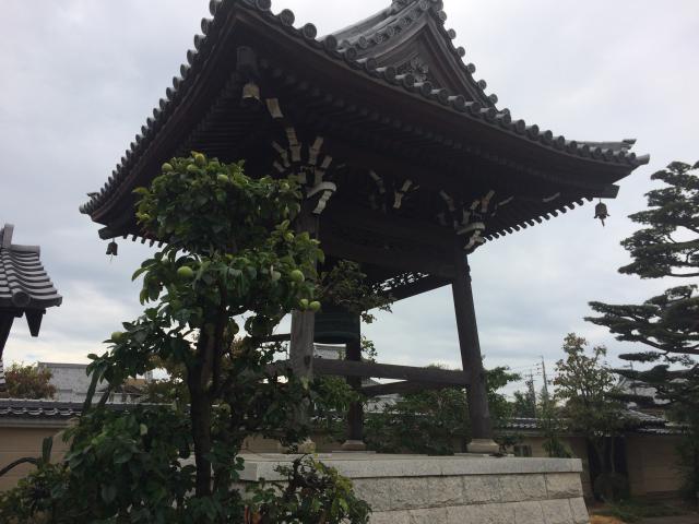 愛知県小牧市小牧3-102 西源寺の写真3