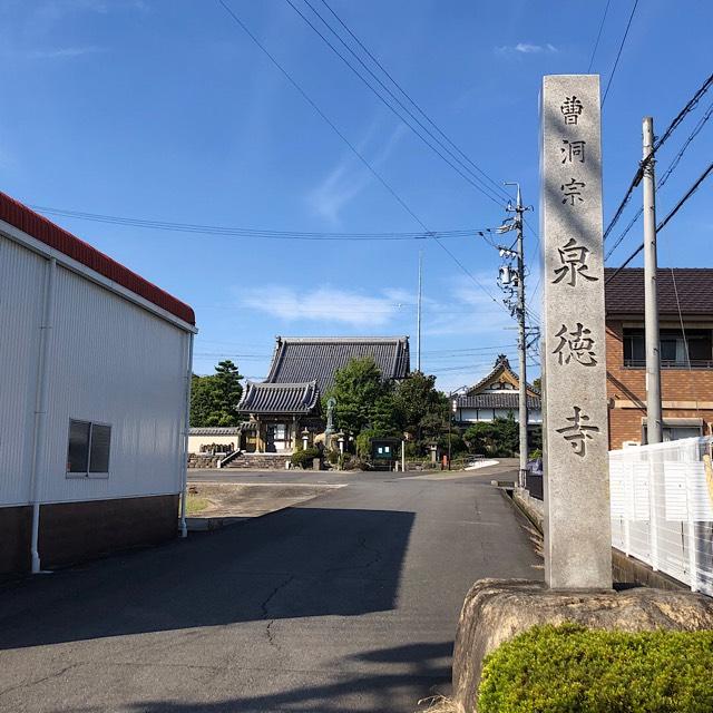 泉徳寺の参拝記録(ワヲンさん)