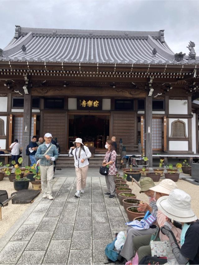 大光山 安楽寺の参拝記録3