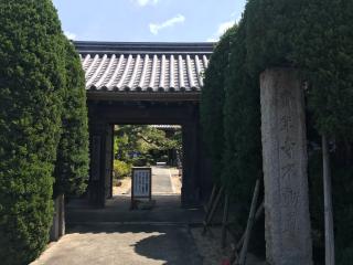 斉年寺の参拝記録(まついちさん)