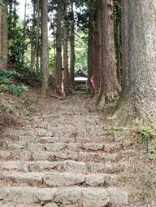 善福寺の参拝記録(銀玉鉄砲さん)