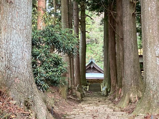 善福寺の参拝記録5