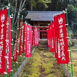 泉昌寺の参拝記録(ワヲンさん)