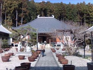 慈廣寺の参拝記録(来宮さん)