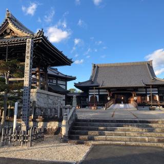 寳泉寺の参拝記録(ワヲンさん)