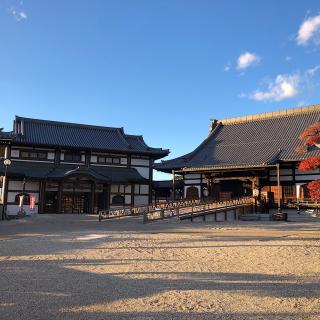 寳泉寺の参拝記録(ワヲンさん)