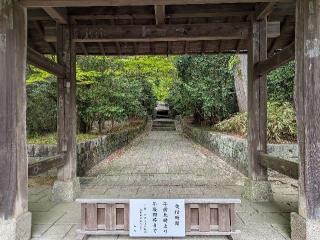 雲興寺の参拝記録(こびのもぐらさん)