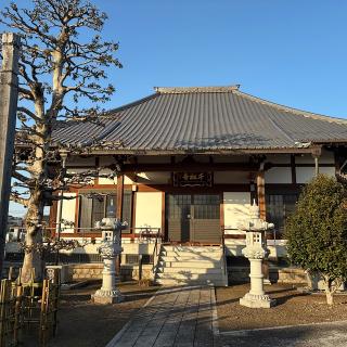 千松寺の参拝記録(ワヲンさん)