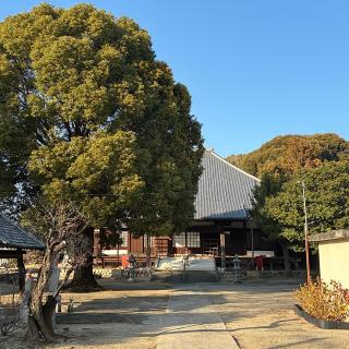 常安寺の参拝記録(ワヲンさん)