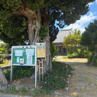 慶昌寺の参拝記録(ワヲンさん)