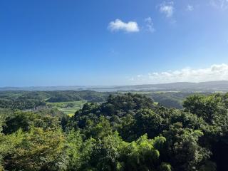 大仰寺の参拝記録(炙さん)