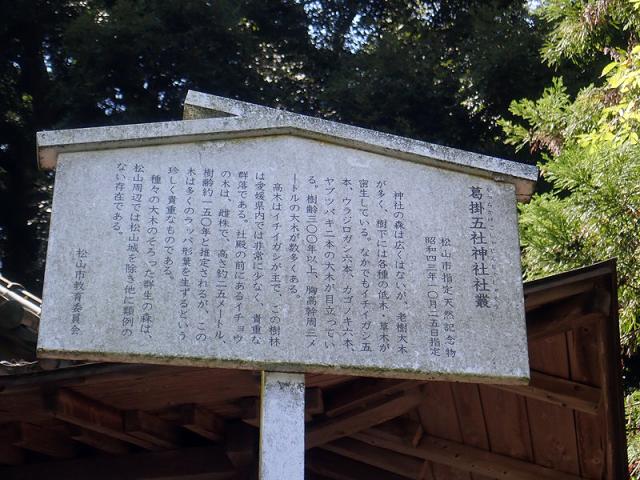 葛掛五社神社の参拝記録(萬勤誕さん)