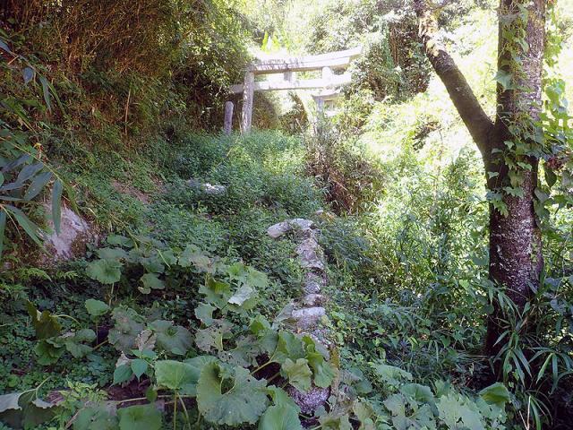 河内神社の参拝記録1