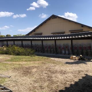 法行山 玉洞院の参拝記録(ワヲンさん)