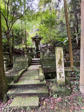 奥之院(岩屋寺)の参拝記録(あまぞんさん)