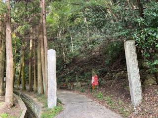 奥之院(岩屋寺)の参拝記録(あまぞんさん)
