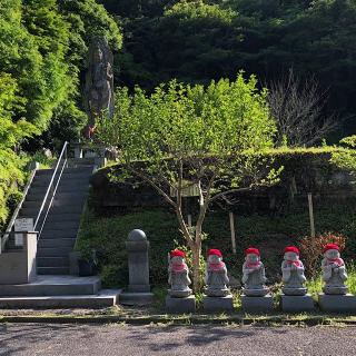 大宝寺の参拝記録(ワヲンさん)