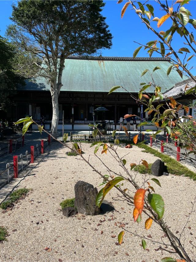 愛知県知多郡美浜町大字野間字東畠50 鶴林山 無量寿院 大御堂寺(野間大坊)の写真2