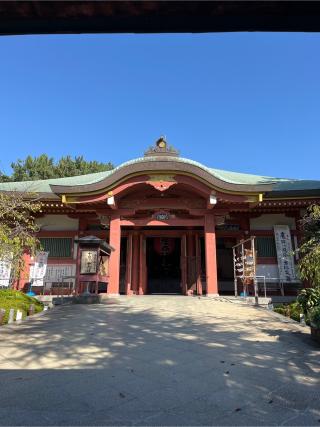 弘法山 遍照院の参拝記録(misashumaさん)