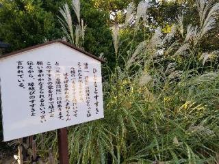 八橋山 無量寿寺の参拝記録(銀玉鉄砲さん)