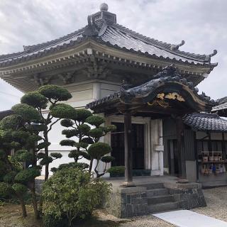 養源寺の参拝記録(ワヲンさん)