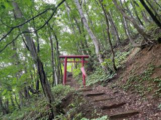 球徳稲荷大明神の参拝記録2
