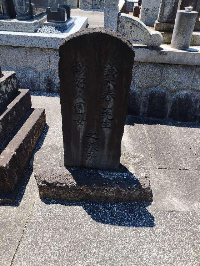 愛知県田原市田原町新町82-2 龍泉寺の写真3