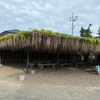 隣江山 潮音寺の参拝記録(ワヲンさん)