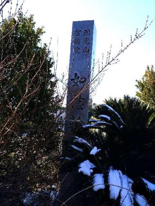 瑞光山 聖臨院 如意輪寺の参拝記録(新コージさん)