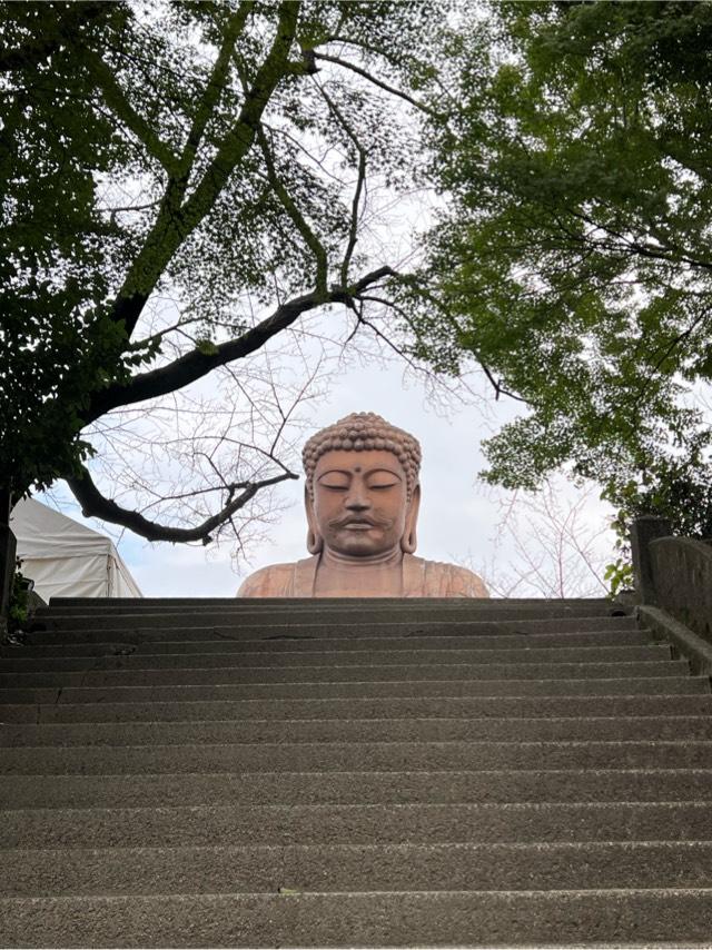大仏寺（聚楽園大仏）の参拝記録3
