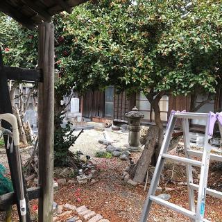 円光寺の参拝記録(ワヲンさん)