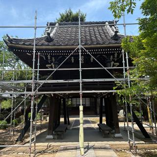 海蔵寺の参拝記録(ワヲンさん)