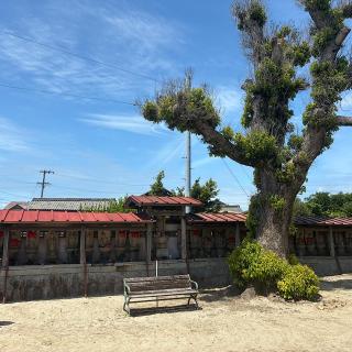 金蓮寺の参拝記録(ワヲンさん)