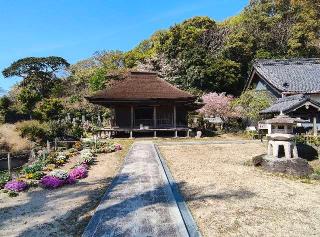 金蓮寺の参拝記録(ミヤリンさん)