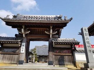 徳林寺の参拝記録(銀玉鉄砲さん)