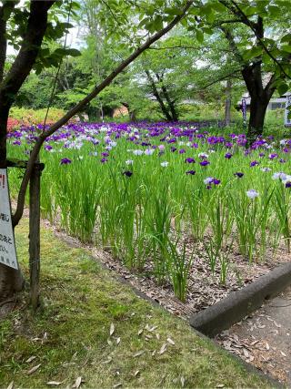 応仁寺の参拝記録(🫠ちゅんさん)