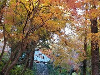船形山 普門寺の参拝記録(銀玉鉄砲さん)